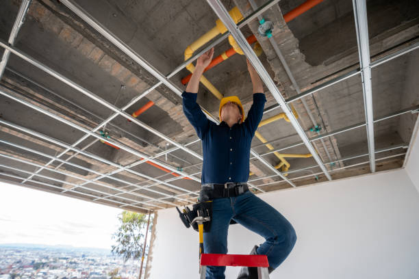 Best Emergency Plumber  in Alexandria, MN