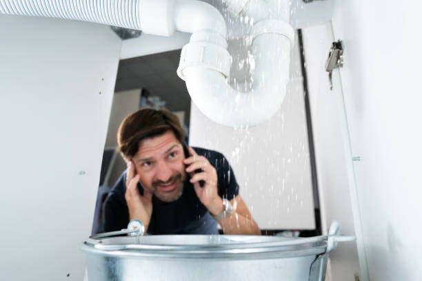 Best Faucet Repair  in Alexandria, MN