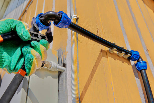 Best Sewer Line Repair  in Alexandria, MN
